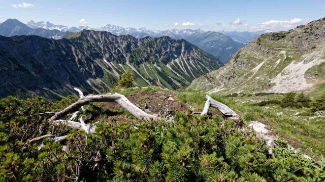 Weg Höfatsblick Geißfußsattel