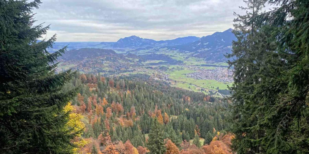 Blick auf Oberstdorf Sölleck Blick auf Oberstdorf