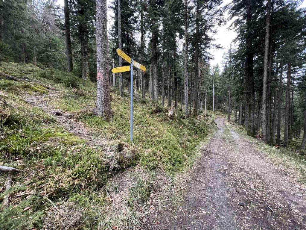 Wanderweg Abzweig Aufacker