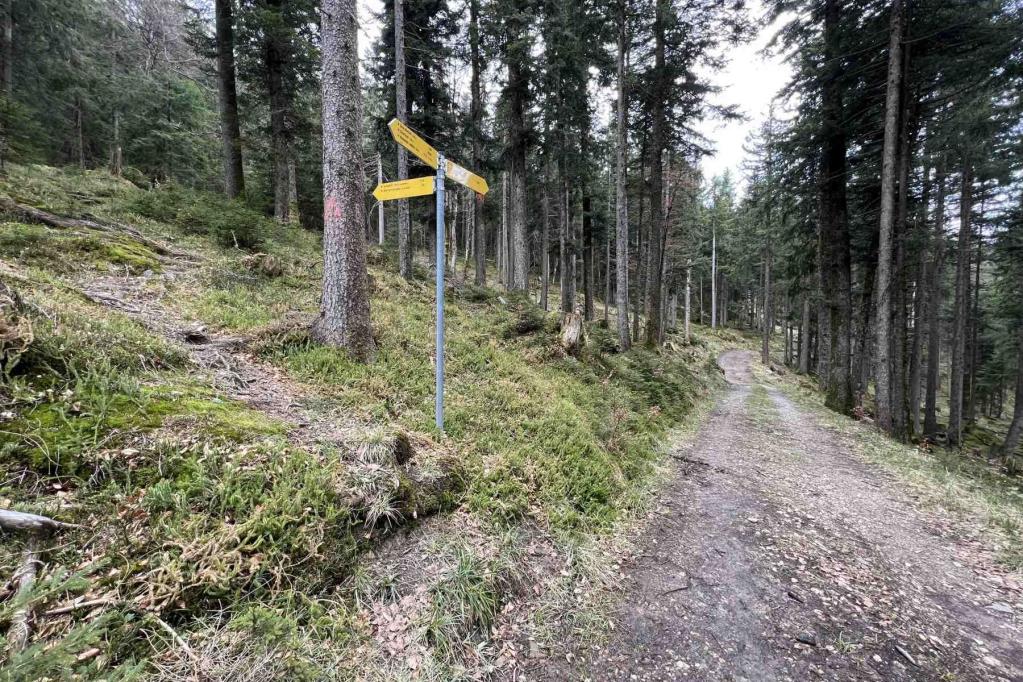 Wanderweg Abzweig Aufacker