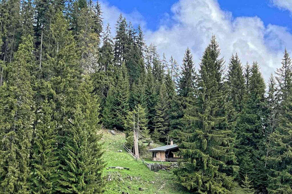 Ammergauer Alpen Laberalm