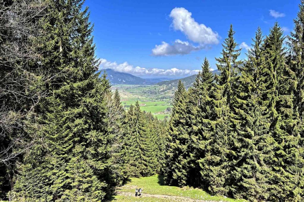 Wanderweg Blick nach Unterammergau