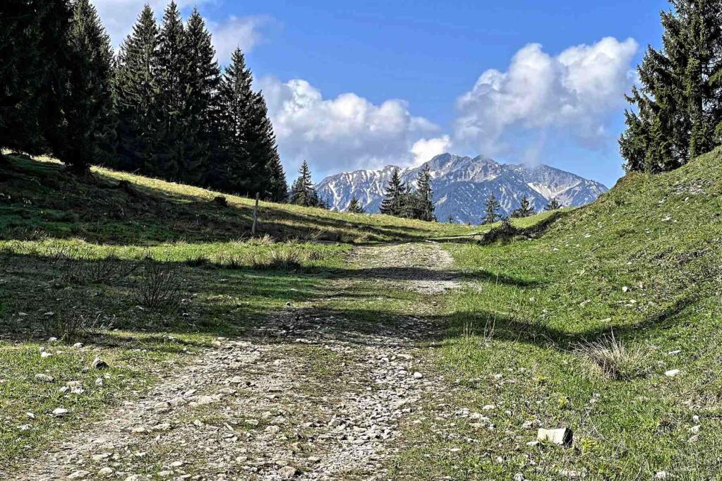 Abzweig Wanderweg Schartenkopf