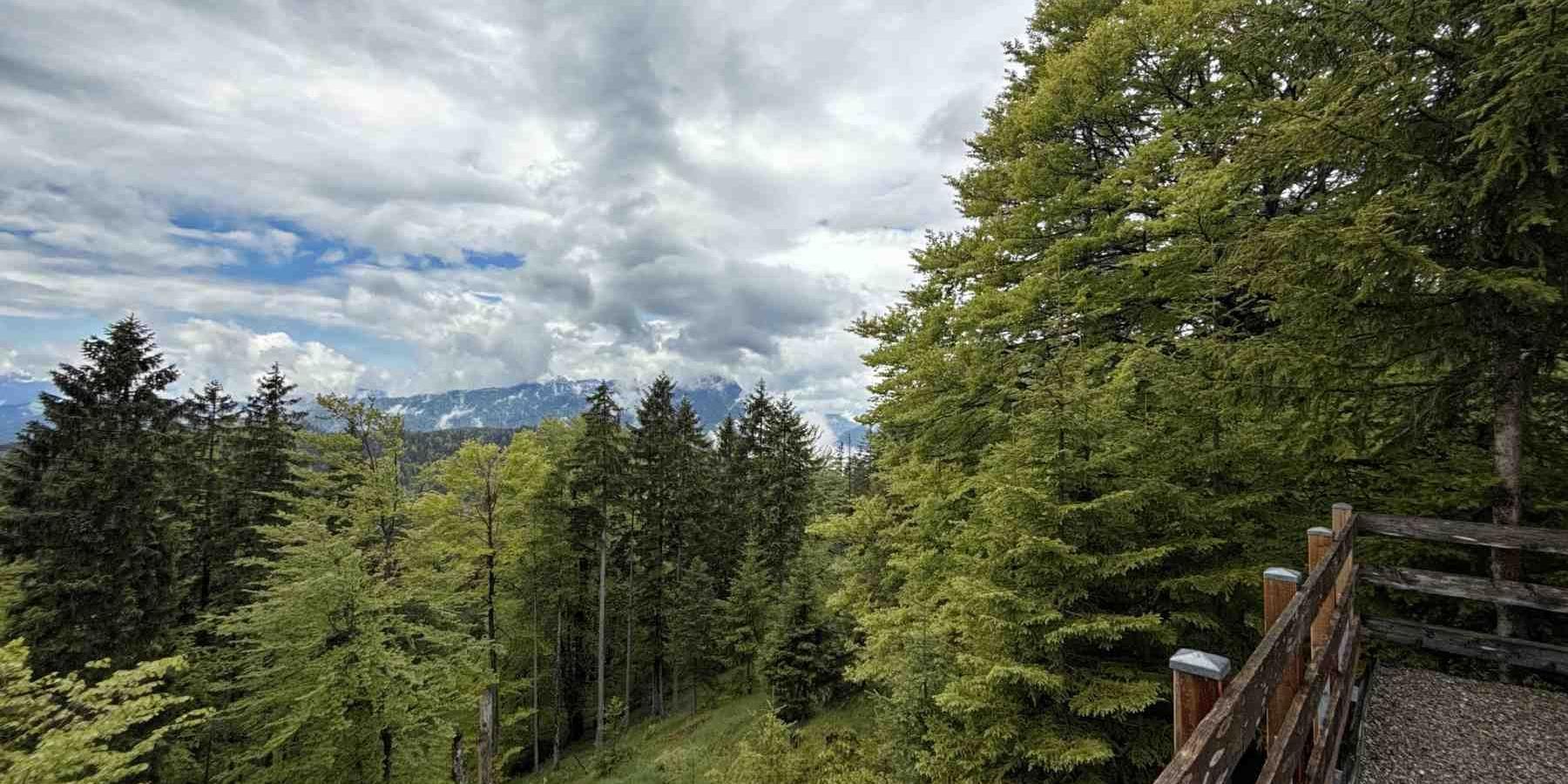 Altlacher Hochkopf Wanderung