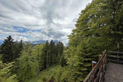 Altlacher Hochkopf Wanderung