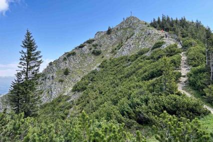Wildalpjoch