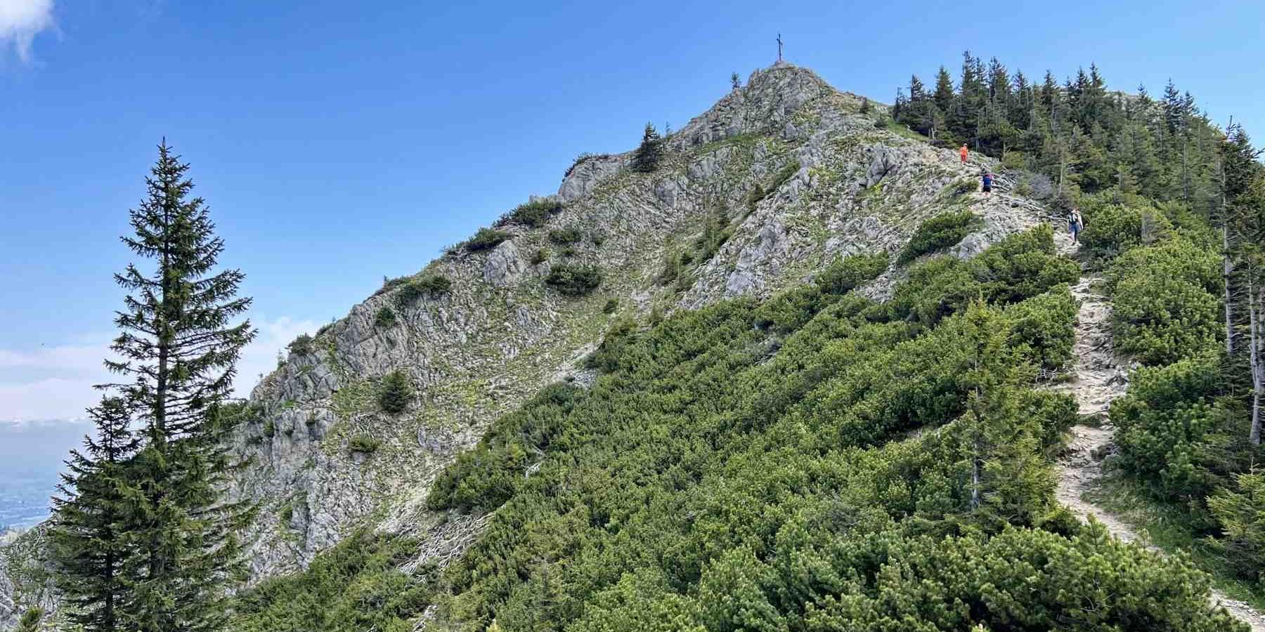 Wildalpjoch