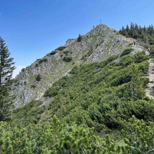 Wildalpjoch