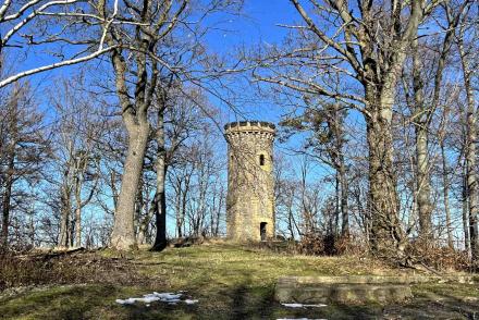 Harz Goslar Steinbergturm