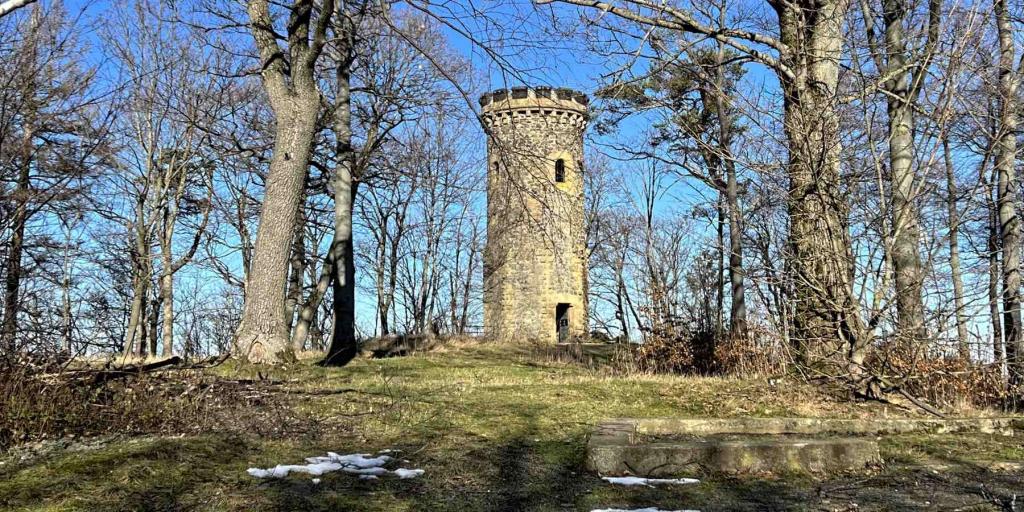 Harz Goslar Steinbergturm