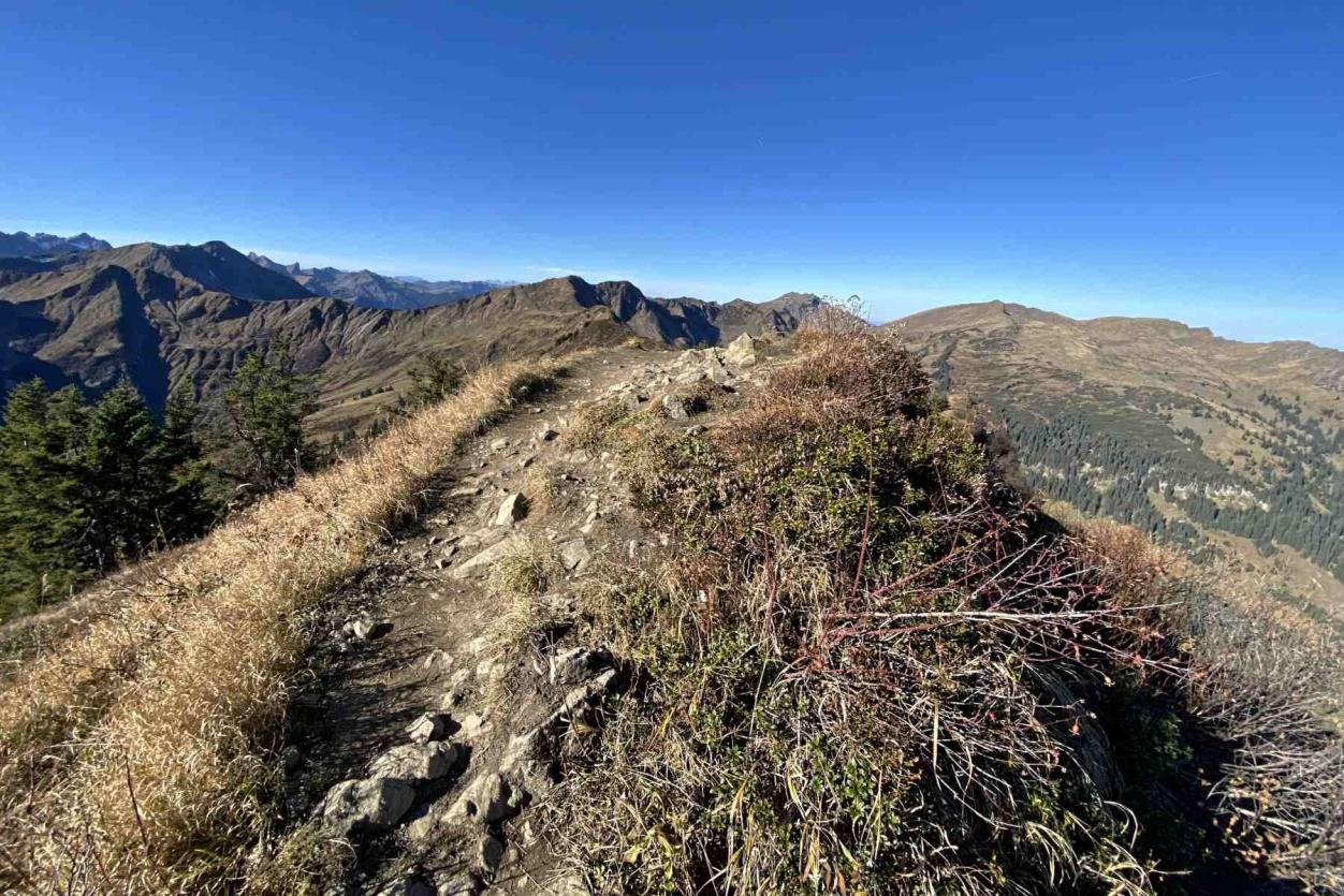 Wanderung Gratweg Ochsenhofer Köpfe
