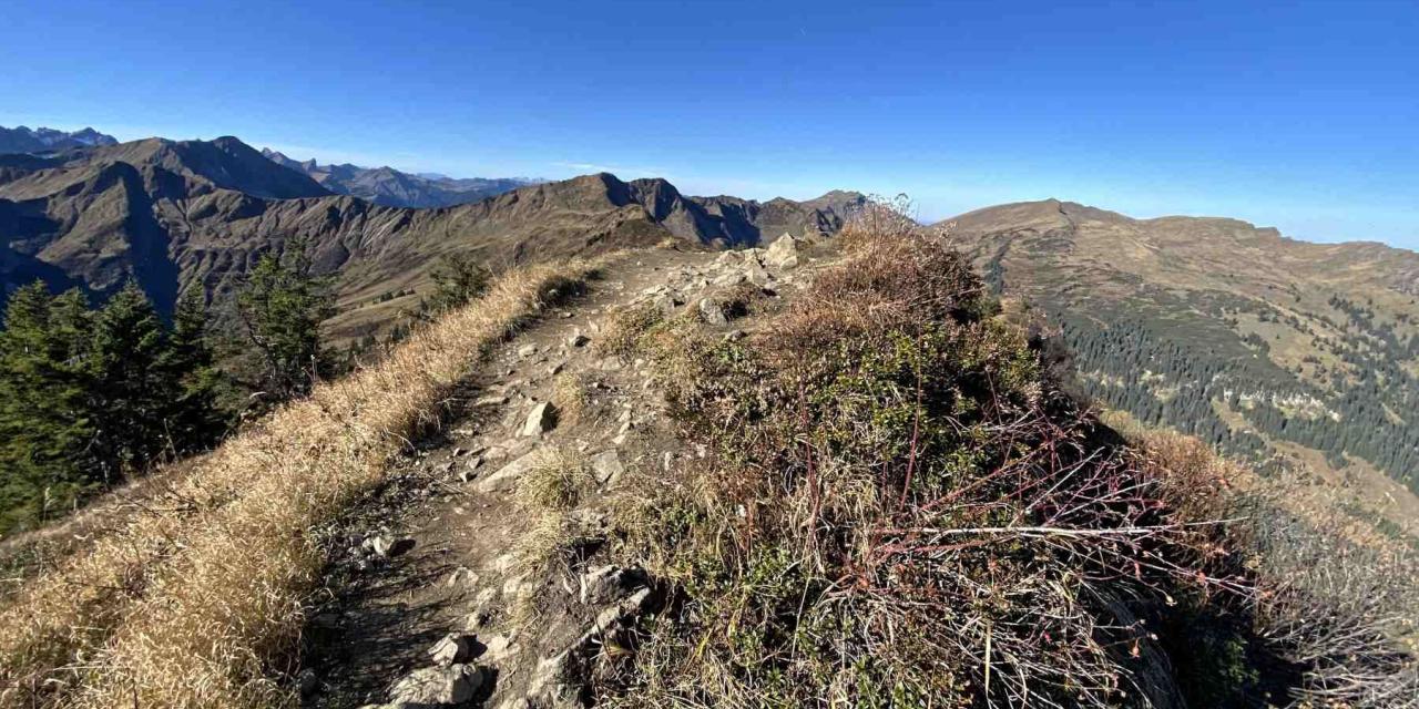 Wanderung Gratweg Ochsenhofer Köpfe