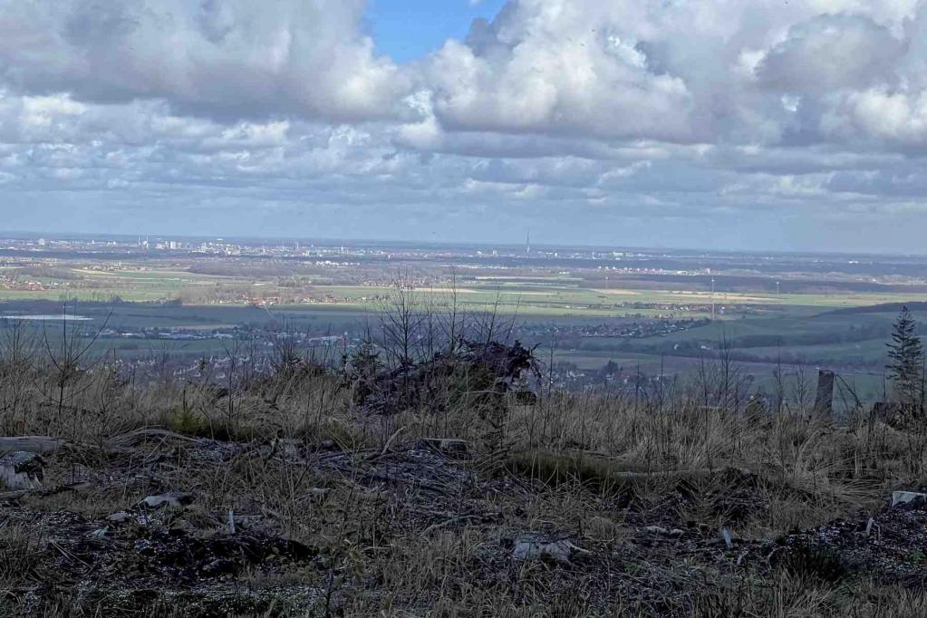 Ausblick Streitbuche Ausblick Streitbuche Richtung Hannover