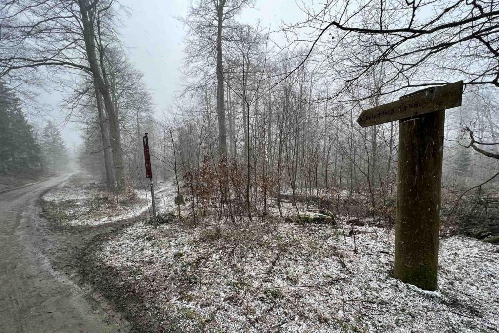 Abzweig E1 Deister Kammweg Abzweig E1