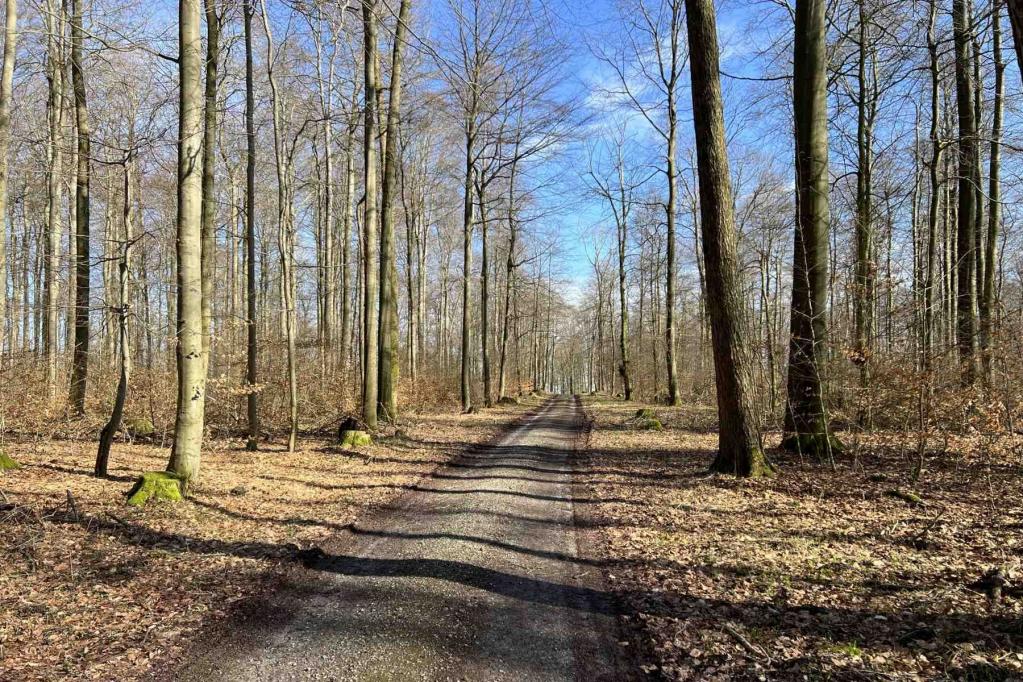 Wanderweg E1 Deister Wanderweg E1