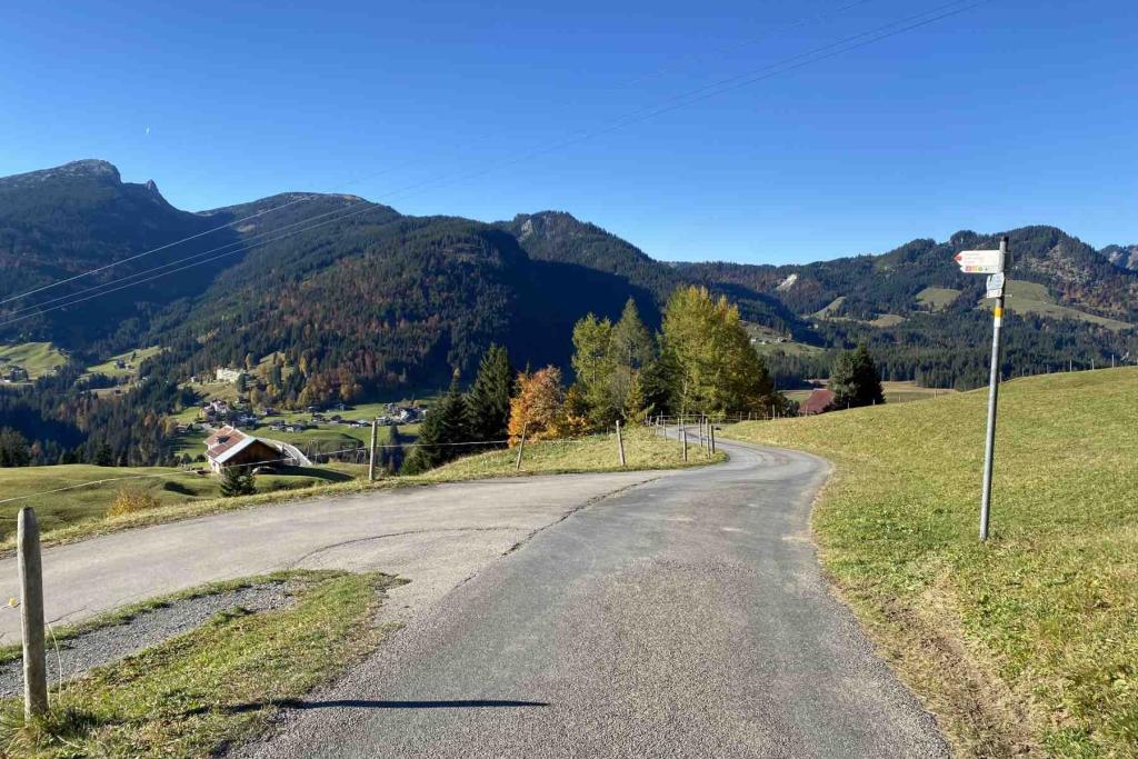 Bergschauweg Abzweig Bergstüble