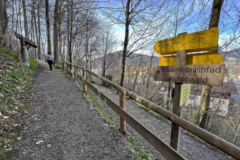Tegernseer Höhenweg Abzweig