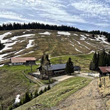 Gindelalmschneid Gindelalm