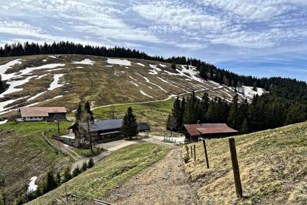 Gindelalmschneid Gindelalm