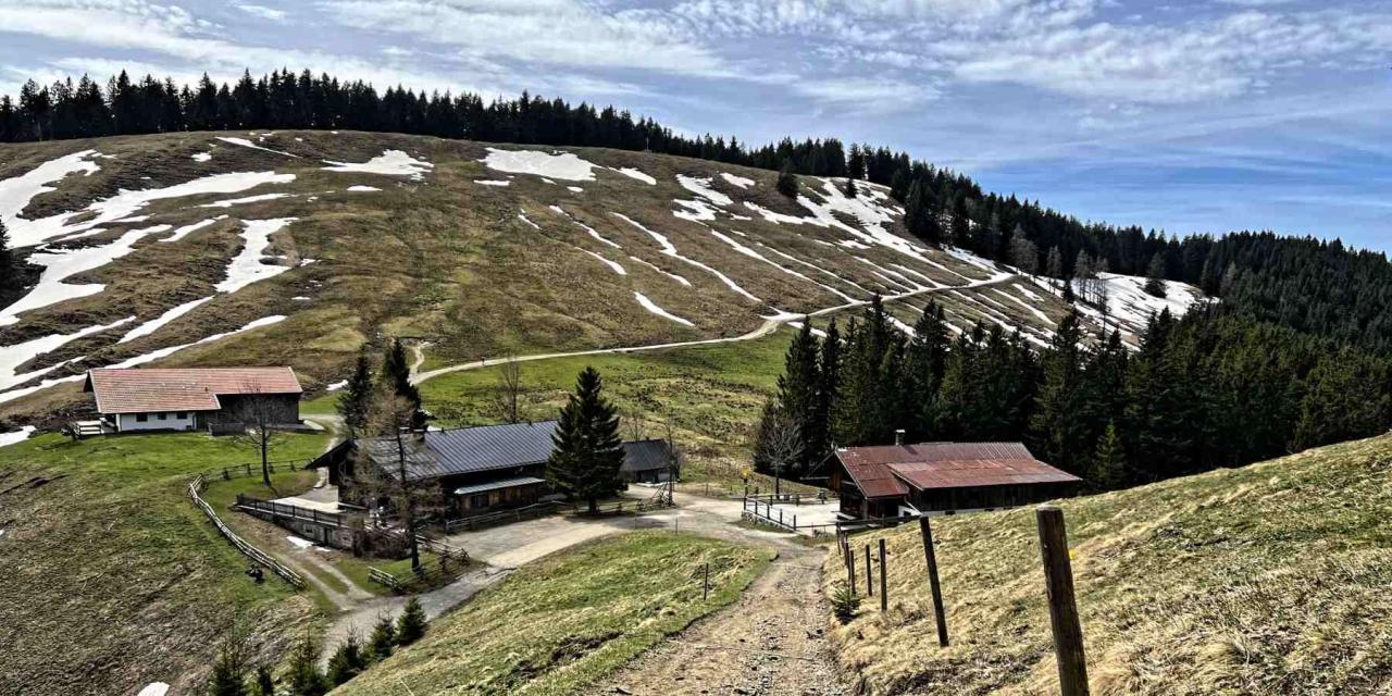 Gindelalmschneid Gindelalm