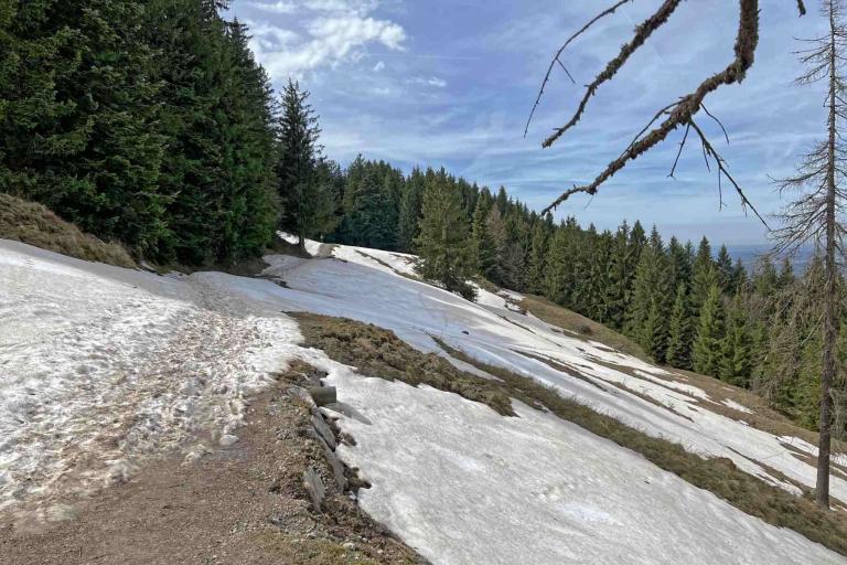 Tegernsee Gindelalmweg Neureuth