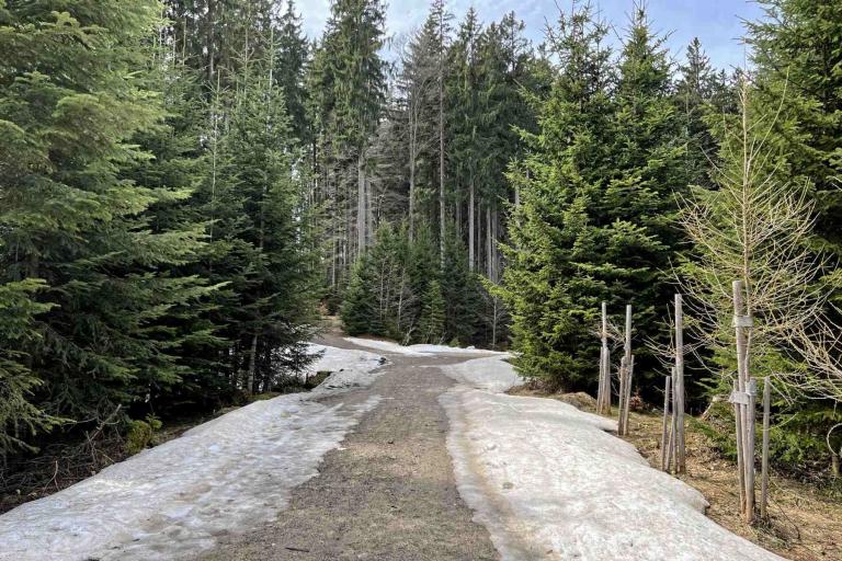 Wanderweg Huberspitz Gindelalm