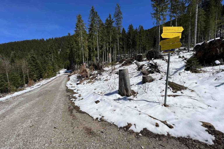 Wanderweg Wallberg Kreuth Wegweiser