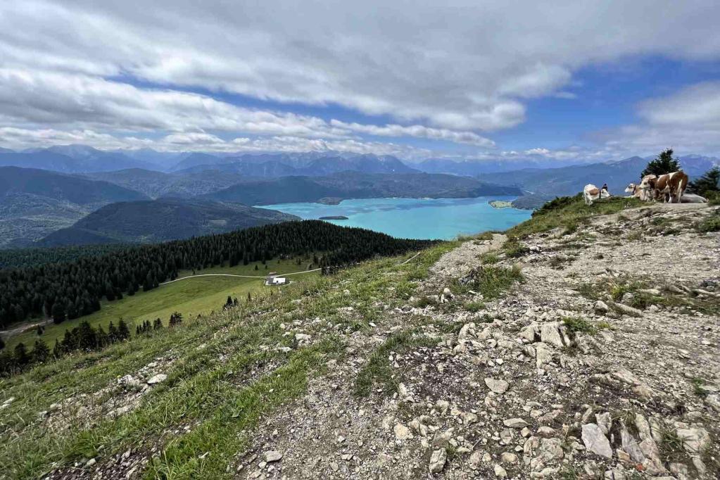 Jochberg Gipfel Walchensee