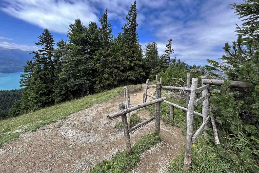 Jochbergsteig Bergwiese