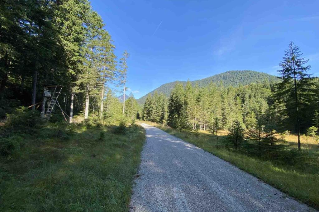 Wanderweg Walchensee Eschenlohe