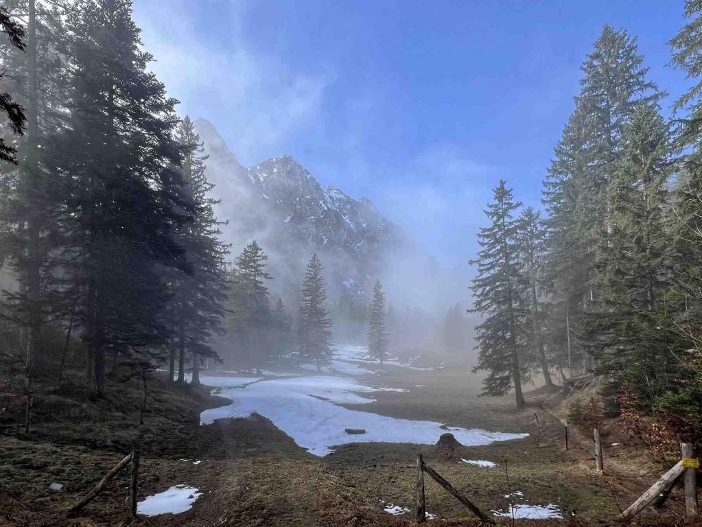 Abzweig Pionierweg Almwiese