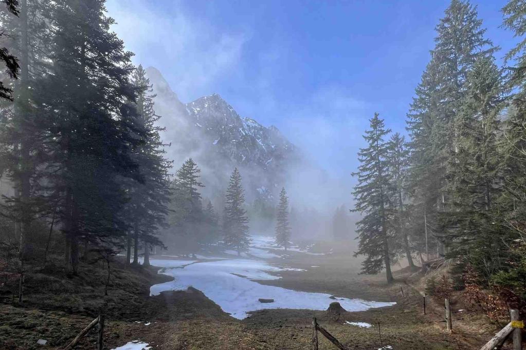 Abzweig Pionierweg Almwiese