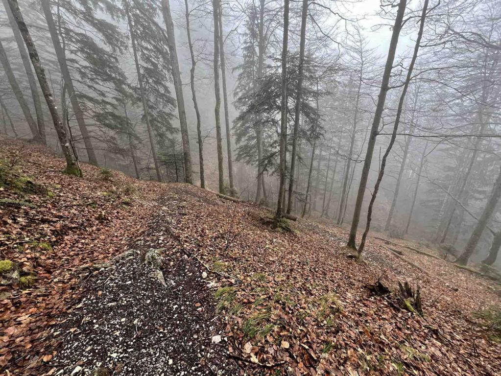 Pionierweg