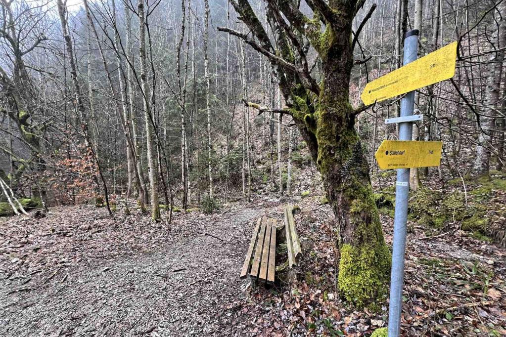 Wegweiser Ende Pionierweg