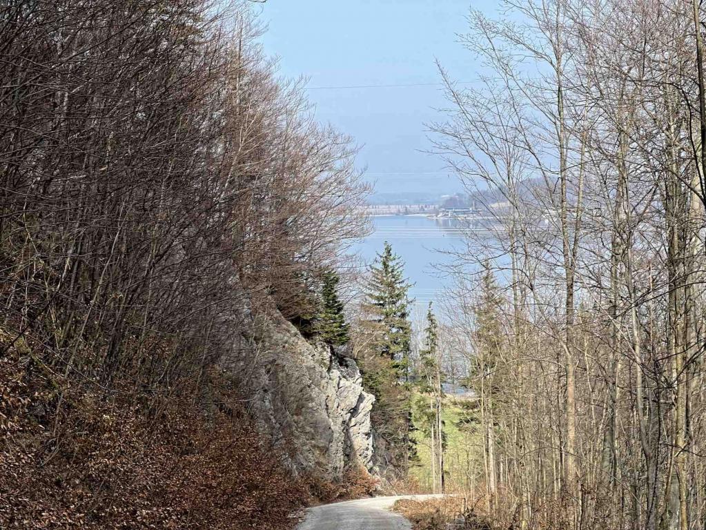 Abstieg Jocher Höhenweg Blick Kochelsee