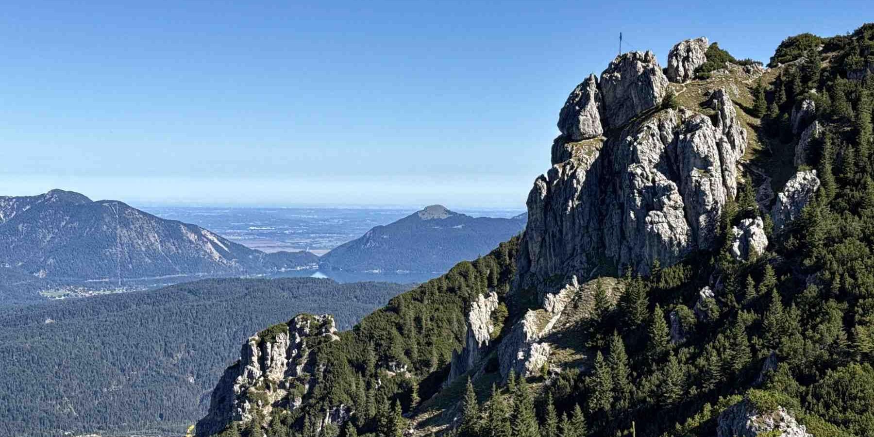 Signalkopf