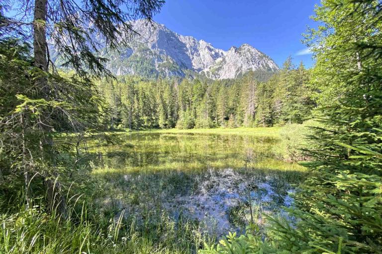 Mittenwald Blick Wettersteinwand