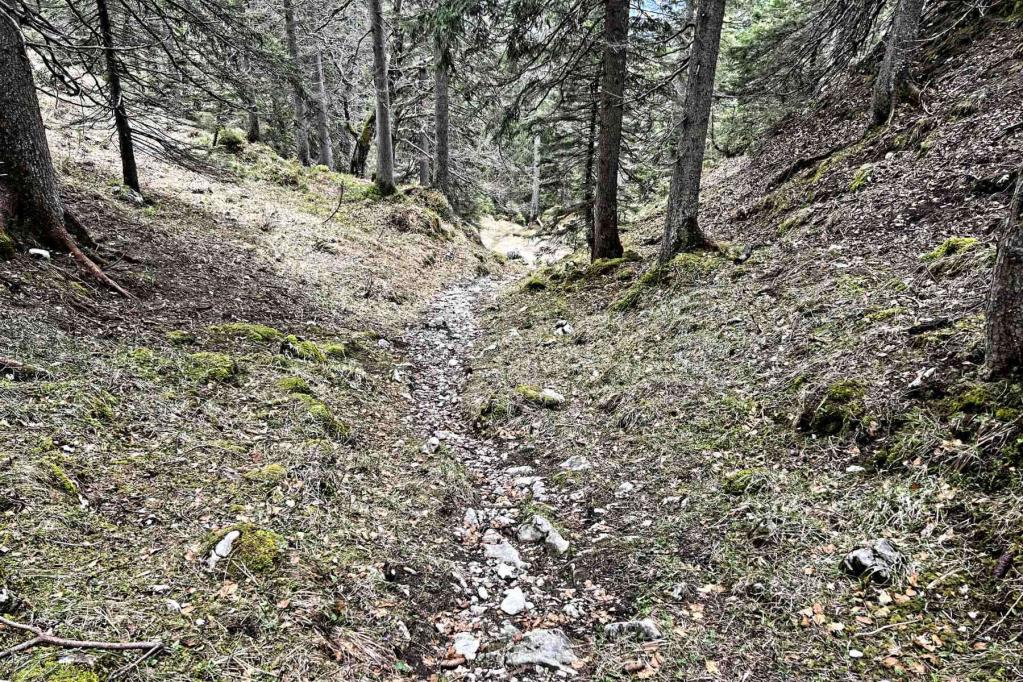 Mittenwald Franzosensteig Abstieg