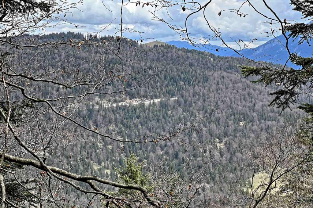 Mittenwald Franzosensteig Kranzbergblick