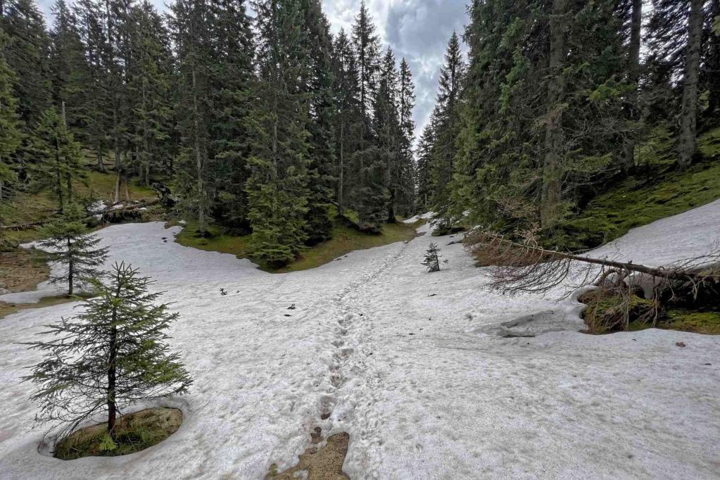 Mittenwald Franzosensteig Schneefelder