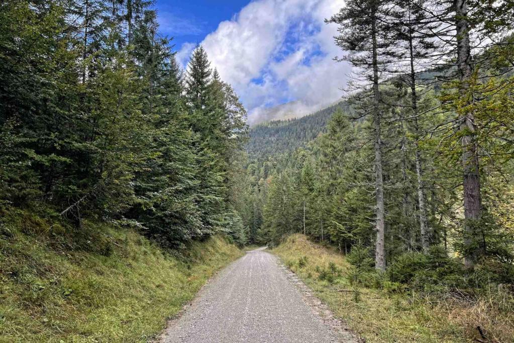 Wanderweg 452 Krottenkopf.