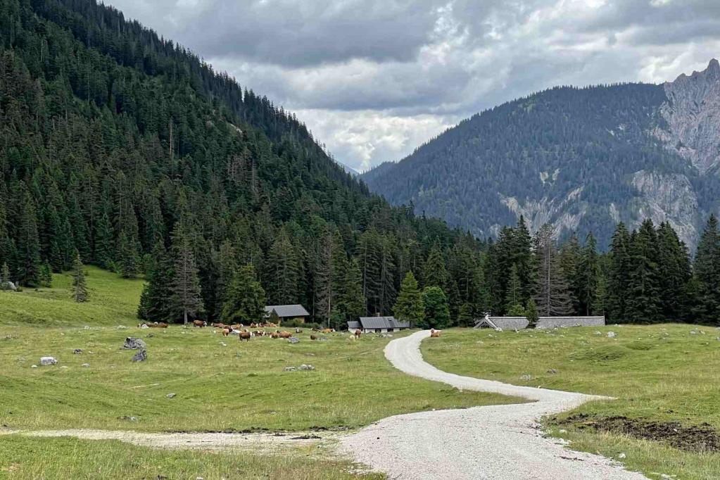 Wirtschaftsweg zur Vereiner Alm