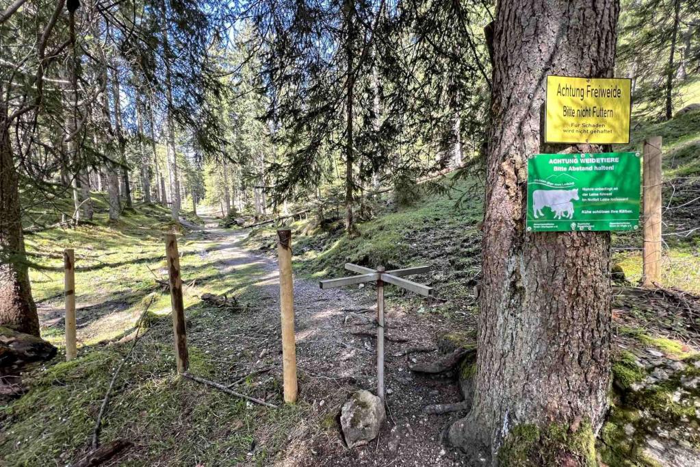 Geschwandt Freiweide