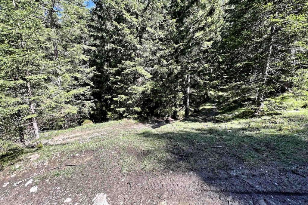 Wegabschweig hinter der Freiweide