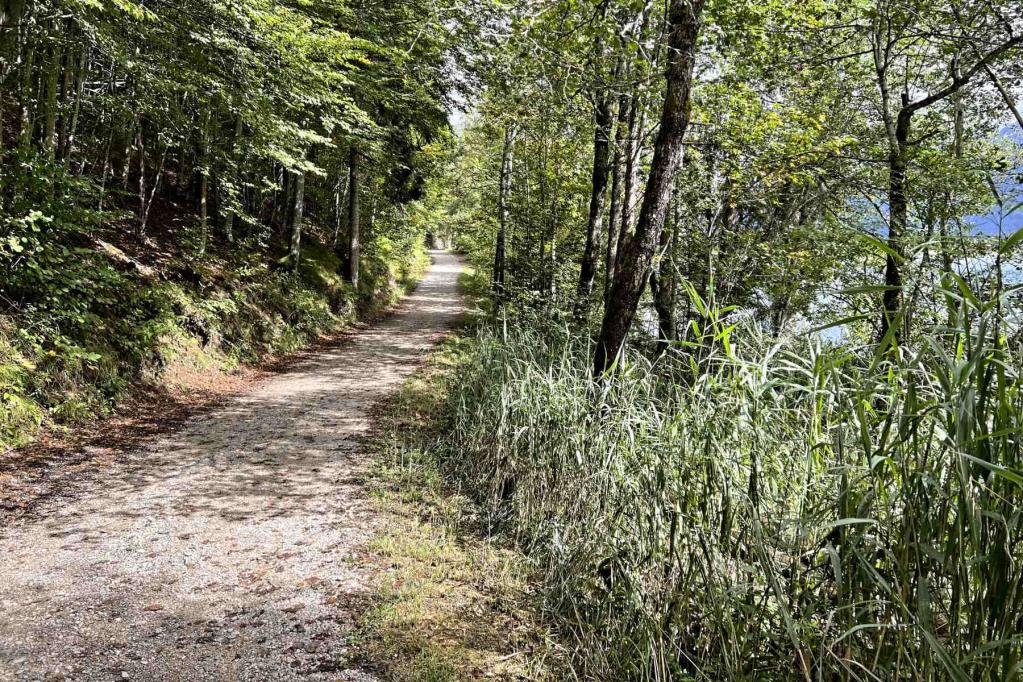 Rundwanderweg Barmsee