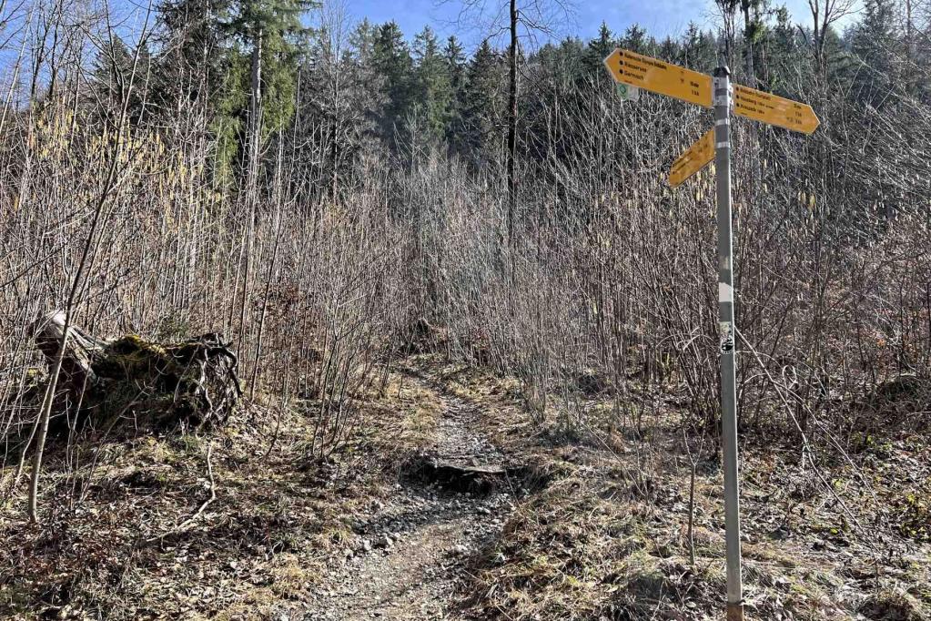 Wegweiser Kochelbergalm