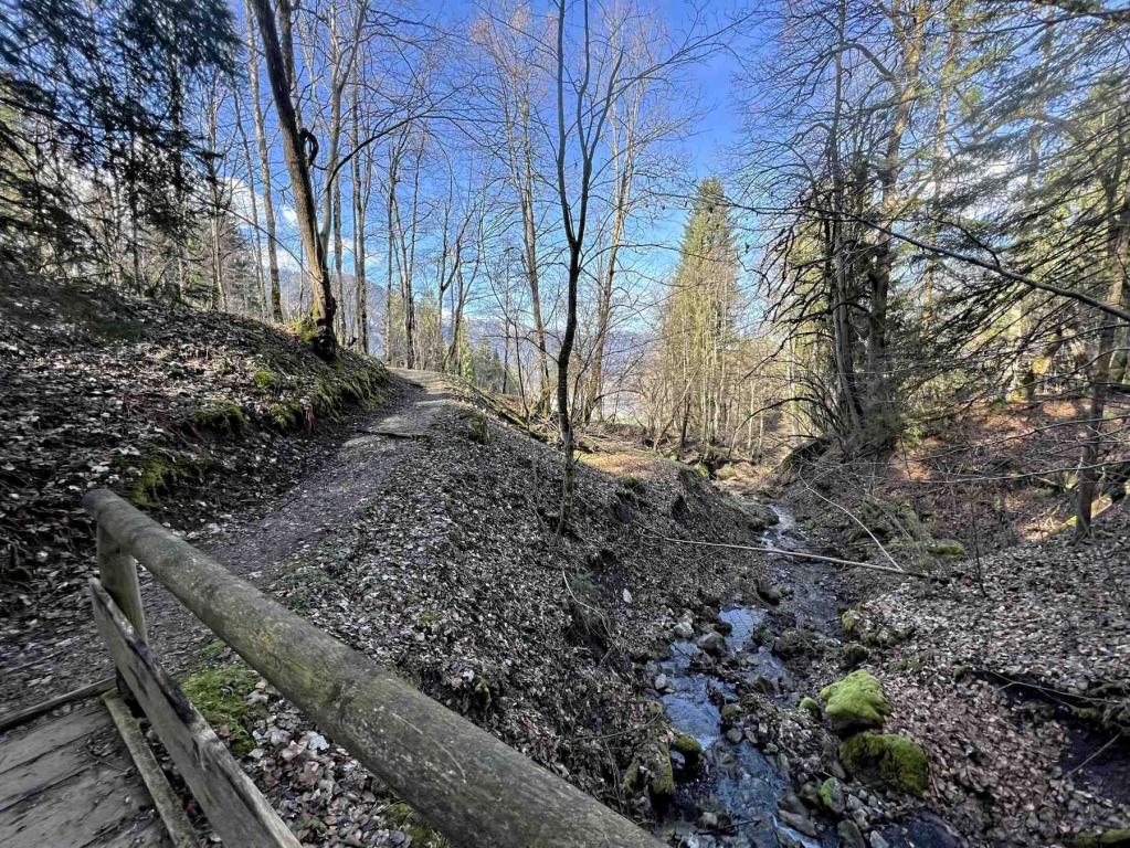 Wanderweg Bobbahn Kochelbergalm