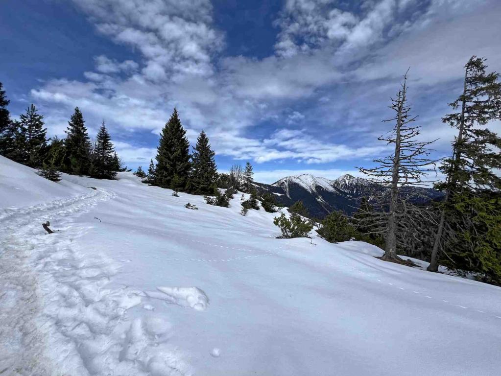 Wanderweg Aufstieg Wank Schneefeld Wanderweg Aufstieg Wank Schneefeld