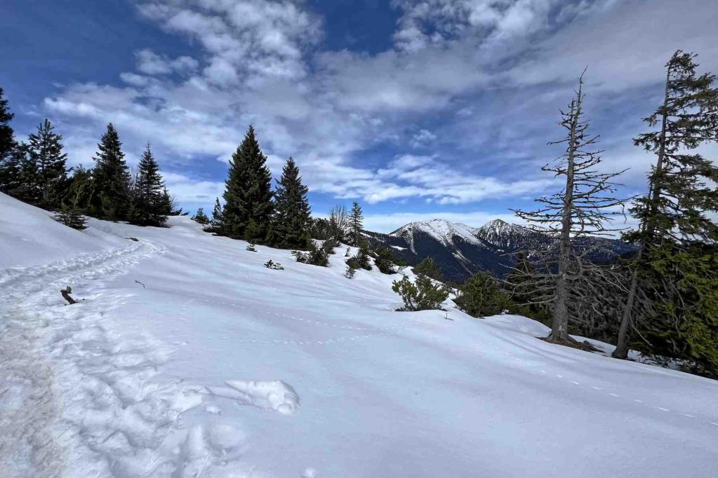 Wanderweg Aufstieg Wank Schneefeld Wanderweg Aufstieg Wank Schneefeld