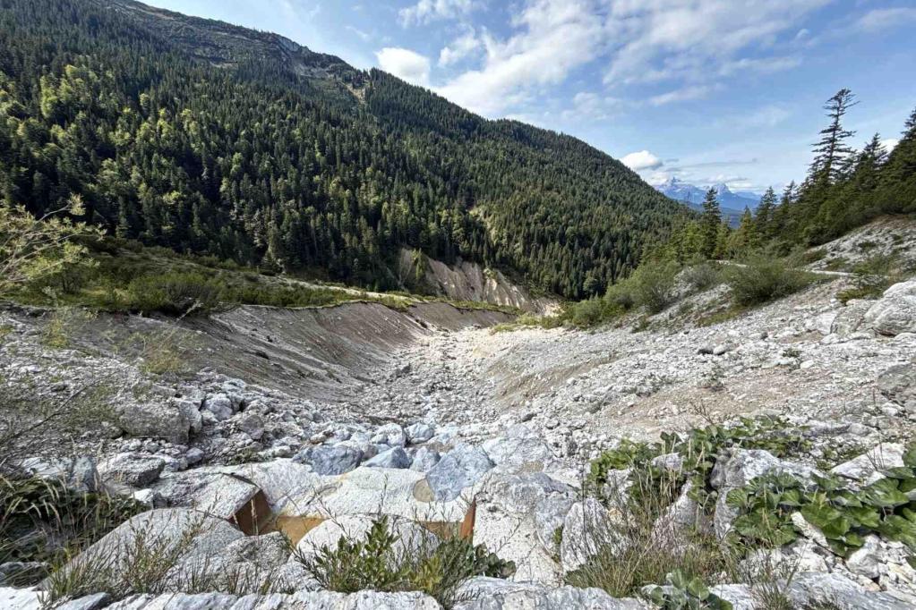 Abstieg Forststraße Seinsbachtal